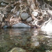 Zdjęcia użytkownika Angelina Charrieau