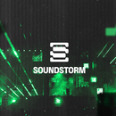 Soundstorm 25 (Middle Beast) Festival的照片