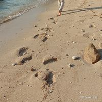 Bayanto Anto's Photo