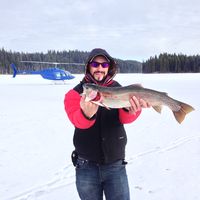 Fotos de Adrian Perkin