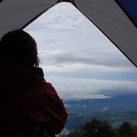 Lorraine Wolfe's Photo