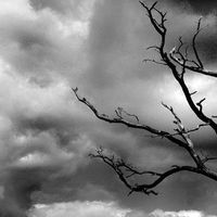 Lane Maxwell's Photo