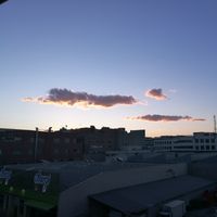 Anas Alzoubi的照片