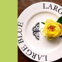 Atsuko Shiota's Photo