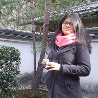 Photos de Amandine Sollier