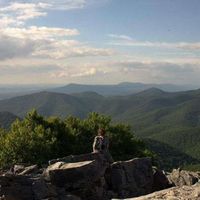 dandydextrous的照片