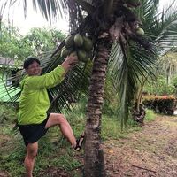 Fotos von King Hoe Teo