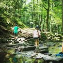 Hiking Adventure at Monbachschlucht's picture