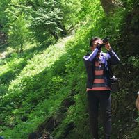 Fotos von Mehraban MF