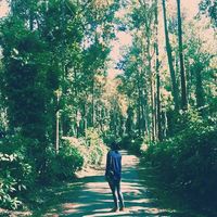 Ailia Jameel的照片