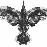 Maurilio Martins's Photo