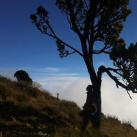 Fotos de Edvin Dardon