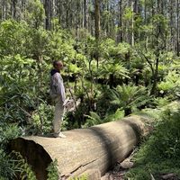 Jonathan Wassermann's Photo