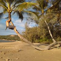 Fotos de Nicolas Ollivier