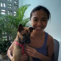 titypp@yahoo.commaiks的照片