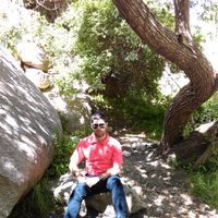 Mehdi Moradi's Photo