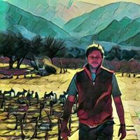 Fotos de Franco Macchioni