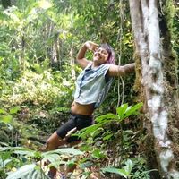 Mauritia Flexuosa's Photo