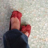 Erandi Zarigüeya's Photo