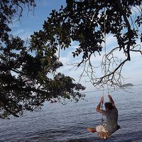 Arthur Victor Bezard's Photo