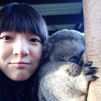 YI YING LEE的照片