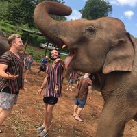 Photos de Will Wojcik