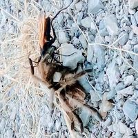 Mandy Blinky's Photo