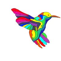 ALEJANDRO YRAMAIN's Photo