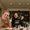 Anton & Sasha's Photo