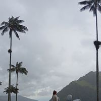 Marti Ormazabal's Photo