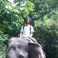 Fotos de mirko rontini