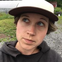 Amanda Midkiff的照片