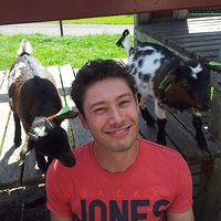 Sam van der Werf的照片