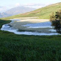 Rachid Alyancy's Photo