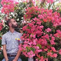 Ahmad Aljamal's Photo