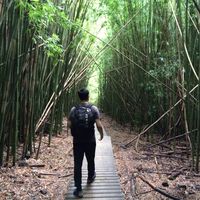 J J's Photo