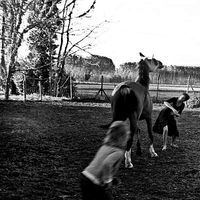 Costanza di Robilant's Photo