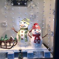 Marcel Satnoianu's Photo