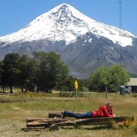 Melina Masciotra's Photo