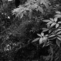 Alisa Komarowa's Photo