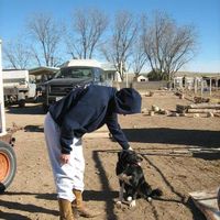 amyl Wishard的照片