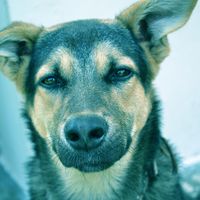 Samuel Serodak's Photo