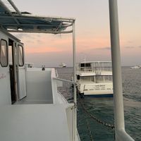 Fotos de Mark Miller