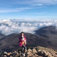 Alejandra Bravo的照片