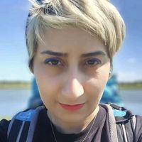 Pasand Erfanmanesh的照片