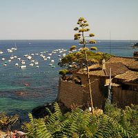 Martotxka Gava's Photo