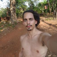 Josua Baukhage的照片