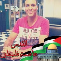 Alaa Mansour的照片