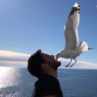 ANDRES ZUCCOLOTTO's Photo