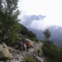 Belin Tristan的照片